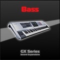 Fantom-G Bass